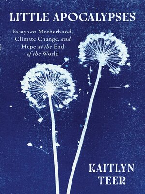 cover image of Little Apocalypses